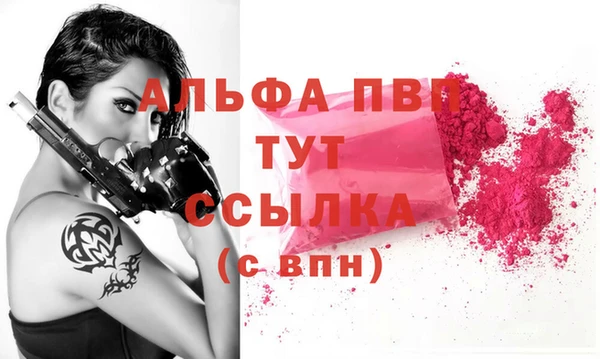 гашик Чердынь