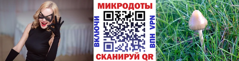 Купить  Динская  Галлюциногенные грибы MAGIC MUSHROOMS 